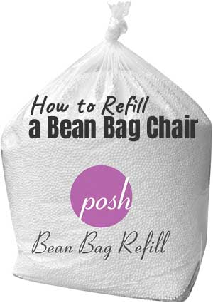 Bean Bag Refill