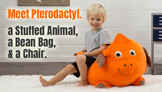bean bag to put stuffed animals in